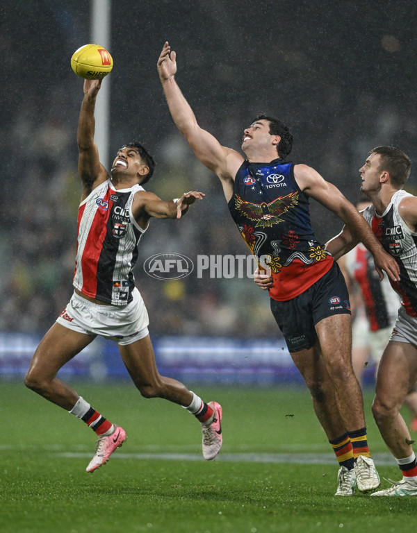 AFL 2024 Round 18 - Adelaide v St Kilda - A-51824661