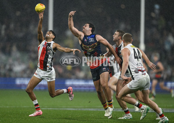 AFL 2024 Round 18 - Adelaide v St Kilda - A-51824665