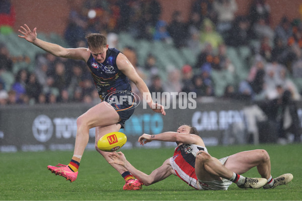 AFL 2024 Round 18 - Adelaide v St Kilda - A-51824666