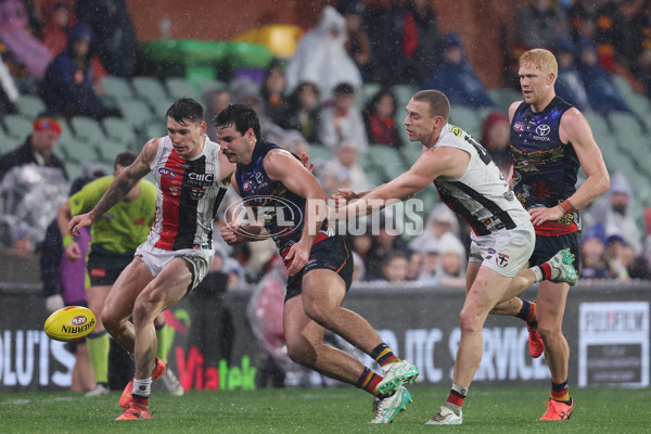 AFL 2024 Round 18 - Adelaide v St Kilda - A-51824692