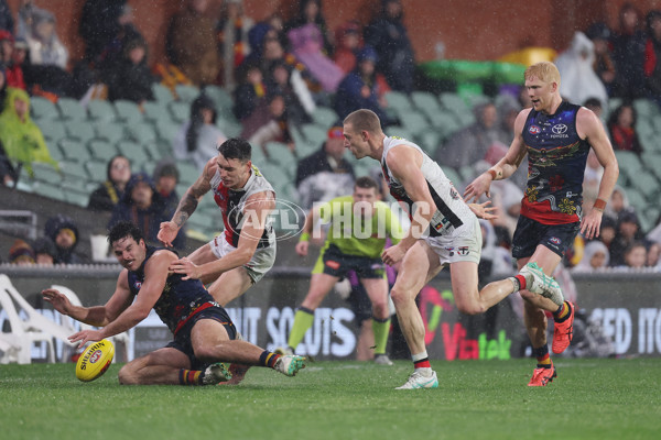 AFL 2024 Round 18 - Adelaide v St Kilda - A-51824693