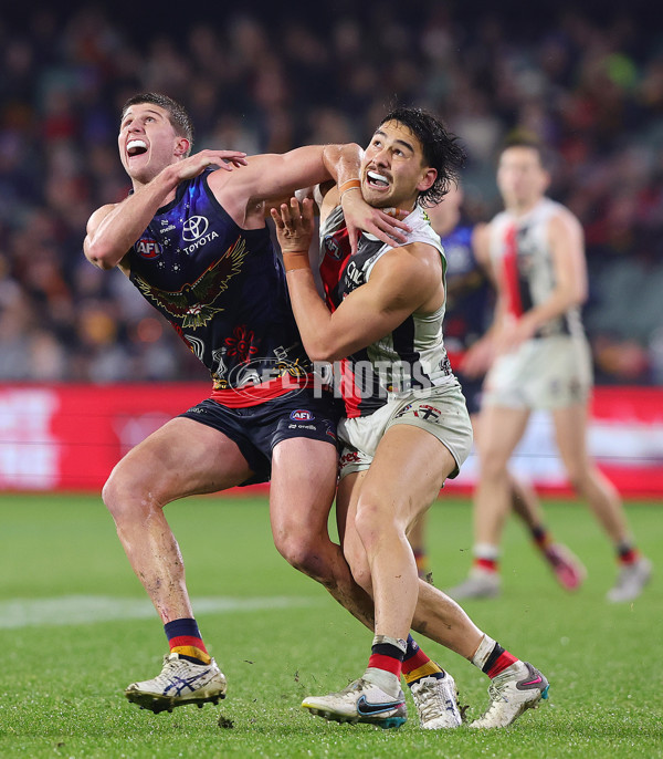 AFL 2024 Round 18 - Adelaide v St Kilda - A-51830174