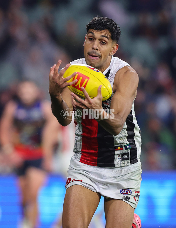 AFL 2024 Round 18 - Adelaide v St Kilda - A-51830278