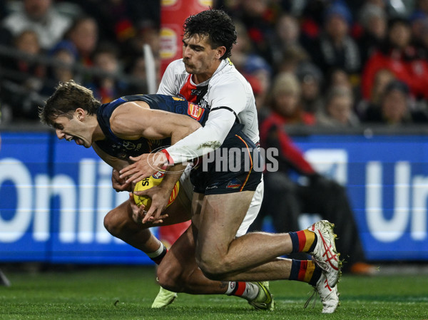 AFL 2024 Round 18 - Adelaide v St Kilda - A-51830333