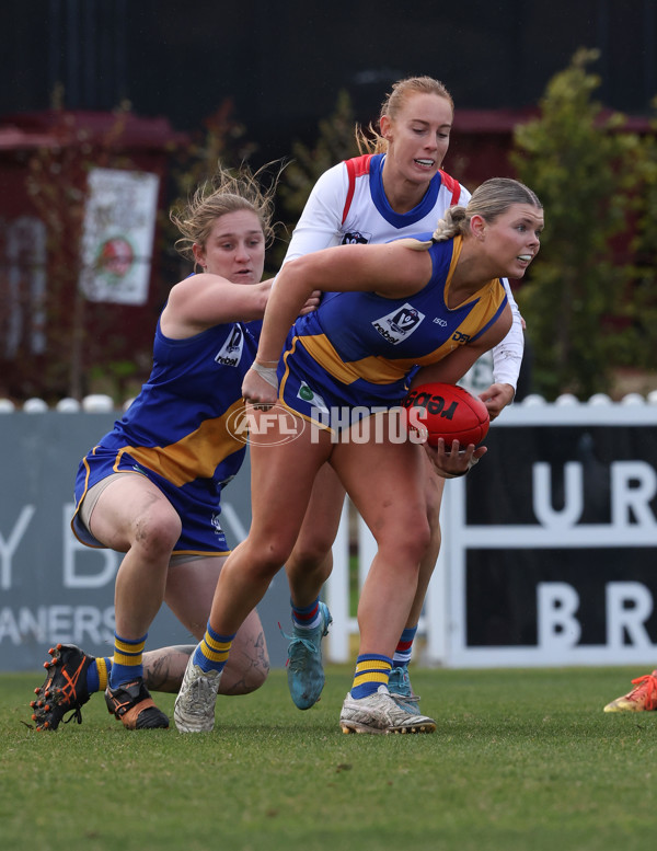 VFLW 2024 Preliminary Final - Williamstown v Western Bulldogs - A-51838968