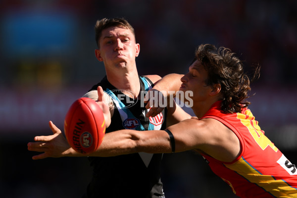 AFL 2024 Round 18 - Gold Coast v Port Adelaide - A-51841160