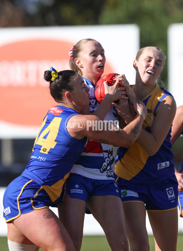 VFLW 2024 Preliminary Final - Williamstown v Western Bulldogs - A-51849217