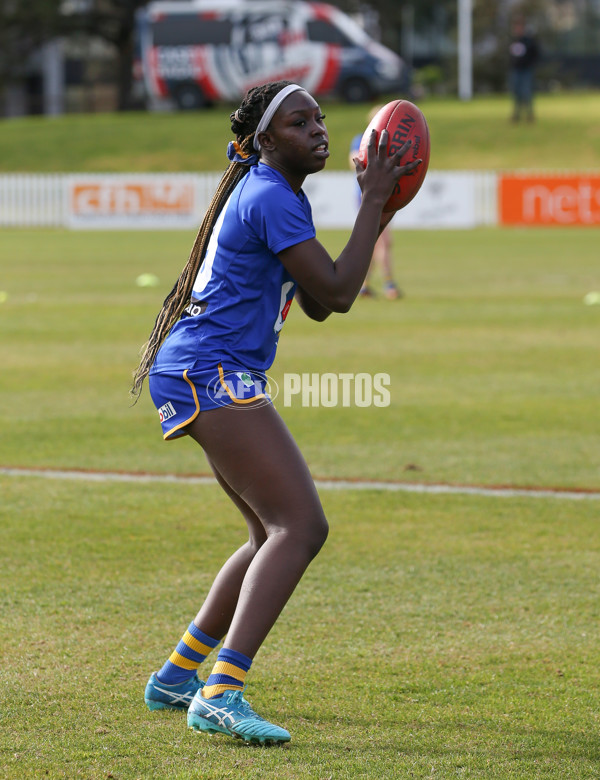 VFLW 2024 Preliminary Final - Williamstown v Western Bulldogs - A-51859431