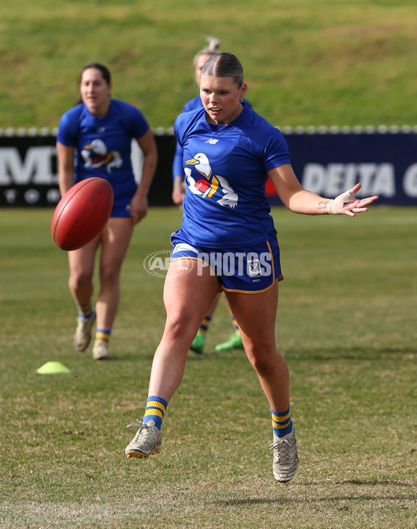 VFLW 2024 Preliminary Final - Williamstown v Western Bulldogs - A-51860109