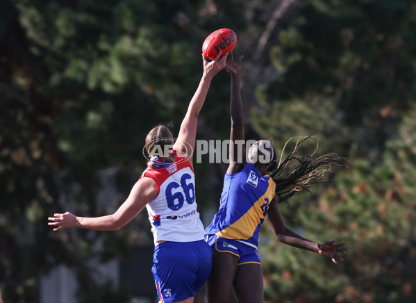 VFLW 2024 Preliminary Final - Williamstown v Western Bulldogs - A-51862791