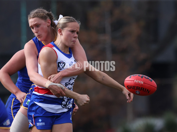 VFLW 2024 Preliminary Final - Williamstown v Western Bulldogs - A-51864684