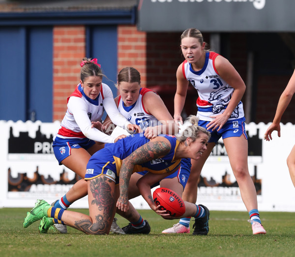 VFLW 2024 Preliminary Final - Williamstown v Western Bulldogs - A-51864687