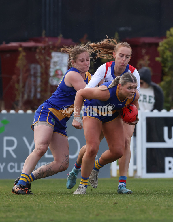 VFLW 2024 Preliminary Final - Williamstown v Western Bulldogs - A-51870065