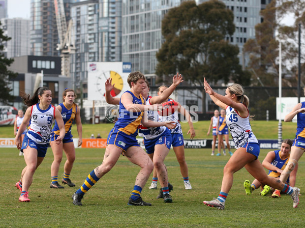 VFLW 2024 Preliminary Final - Williamstown v Western Bulldogs - A-51870072