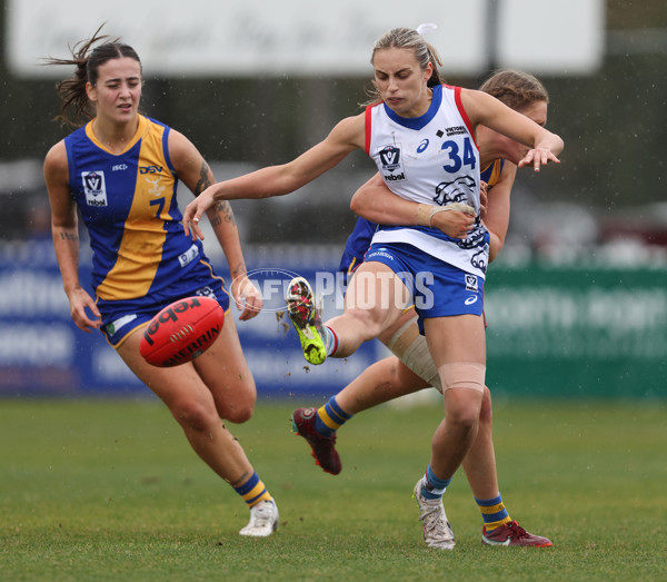 VFLW 2024 Preliminary Final - Williamstown v Western Bulldogs - A-51873007