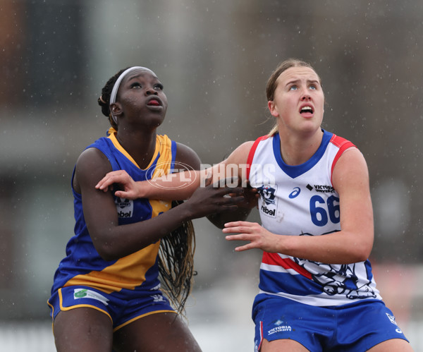 VFLW 2024 Preliminary Final - Williamstown v Western Bulldogs - A-51873009