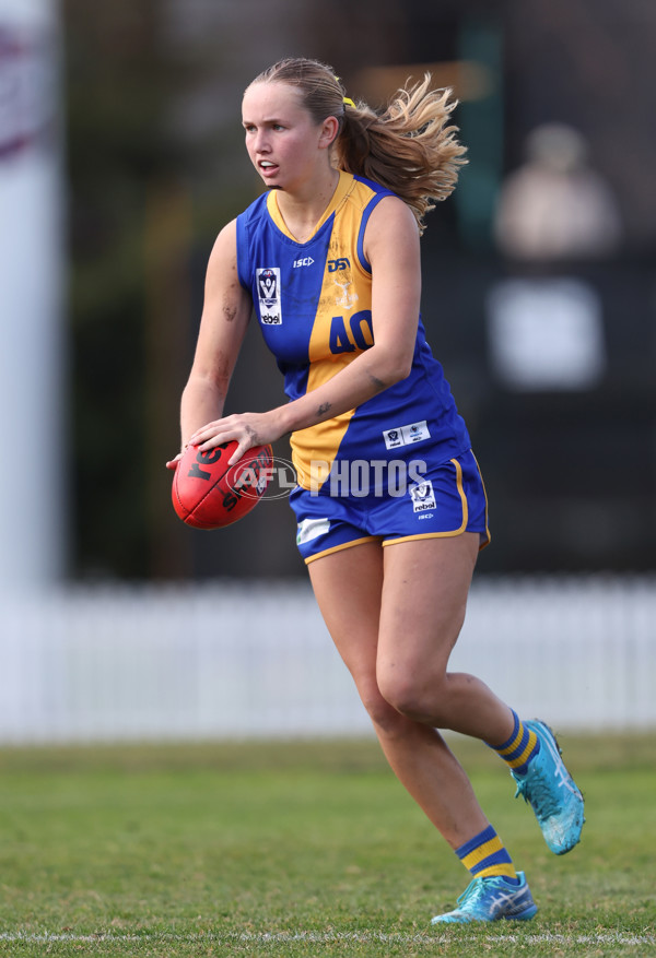 VFLW 2024 Preliminary Final - Williamstown v Western Bulldogs - A-51873042