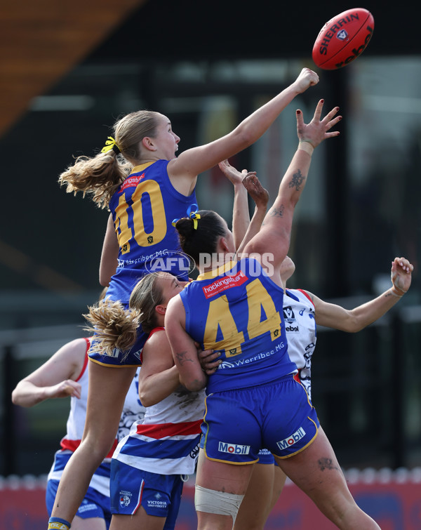 VFLW 2024 Preliminary Final - Williamstown v Western Bulldogs - A-51873045