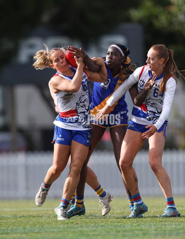 VFLW 2024 Preliminary Final - Williamstown v Western Bulldogs - A-51874713