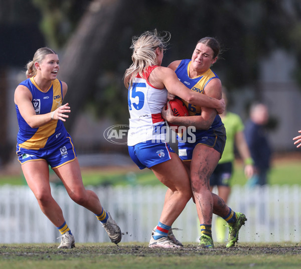 VFLW 2024 Preliminary Final - Williamstown v Western Bulldogs - A-51875535