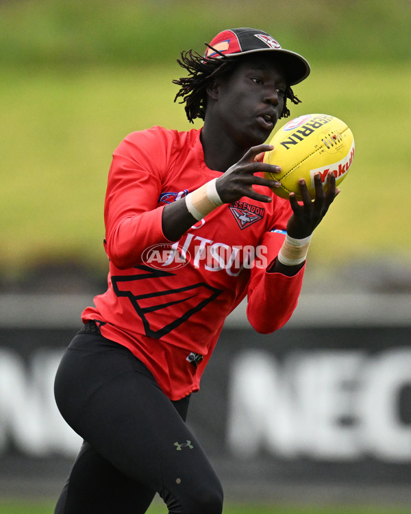 AFL 2024 Training - Essendon 160724 - A-51922748