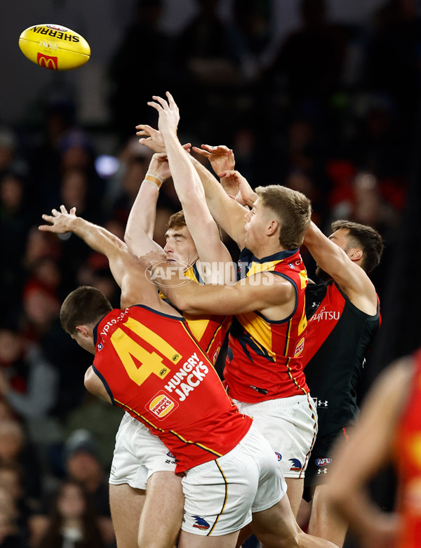 AFL 2024 Round 19 - Essendon v Adelaide - A-51946509