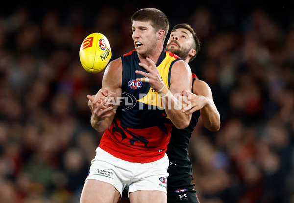 AFL 2024 Round 19 - Essendon v Adelaide - A-51949251