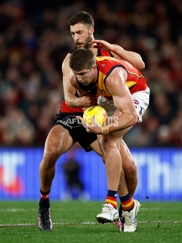 AFL 2024 Round 19 - Essendon v Adelaide - A-51949253