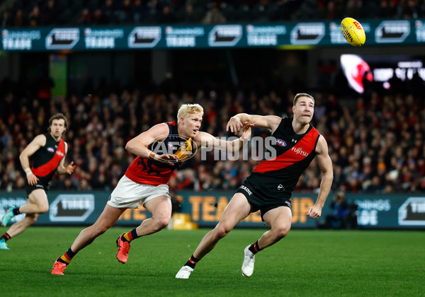 AFL 2024 Round 19 - Essendon v Adelaide - A-51952095