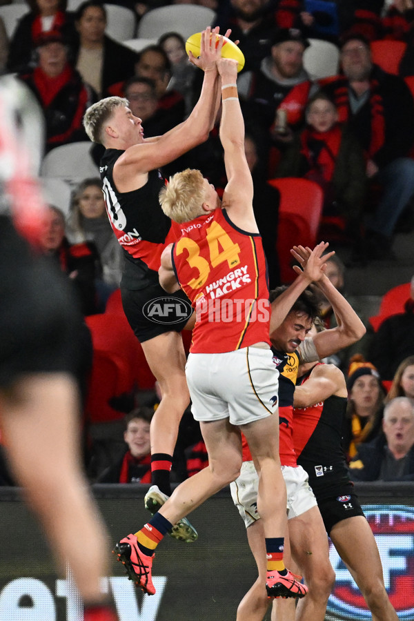 AFL 2024 Round 19 - Essendon v Adelaide - A-51952099