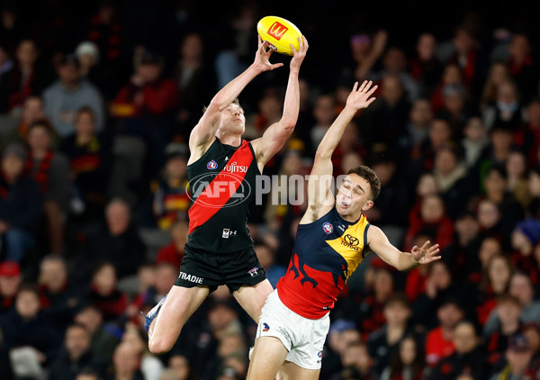 AFL 2024 Round 19 - Essendon v Adelaide - A-51952118