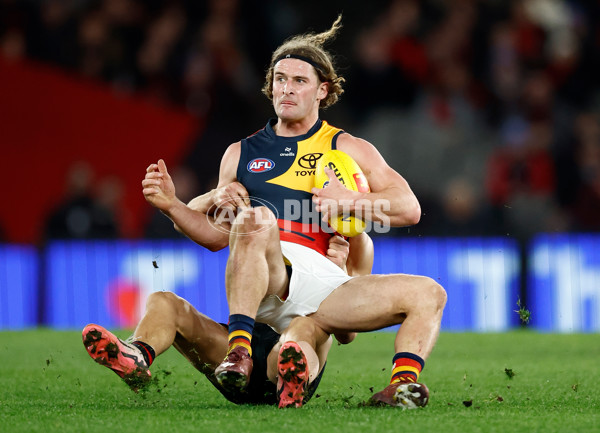 AFL 2024 Round 19 - Essendon v Adelaide - A-51952155