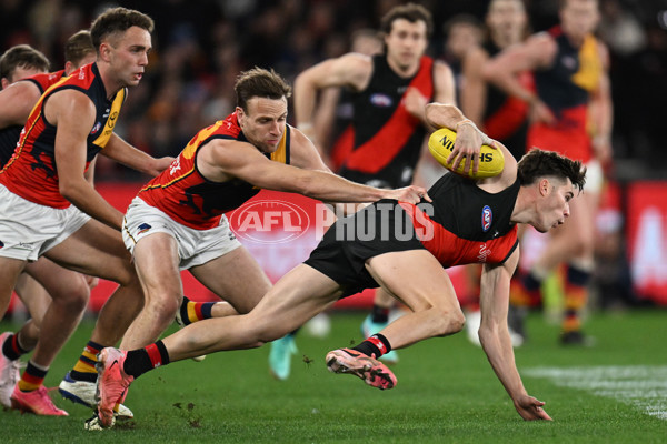 AFL 2024 Round 19 - Essendon v Adelaide - A-51952164