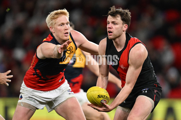 AFL 2024 Round 19 - Essendon v Adelaide - A-51957293