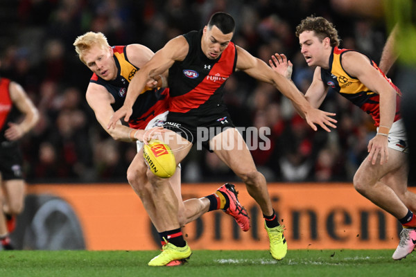 AFL 2024 Round 19 - Essendon v Adelaide - A-51957785