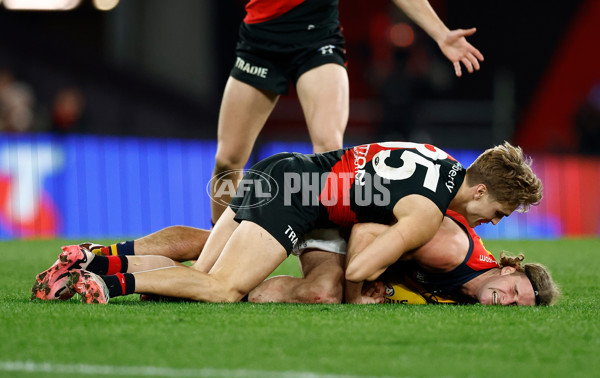 AFL 2024 Round 19 - Essendon v Adelaide - A-51962924