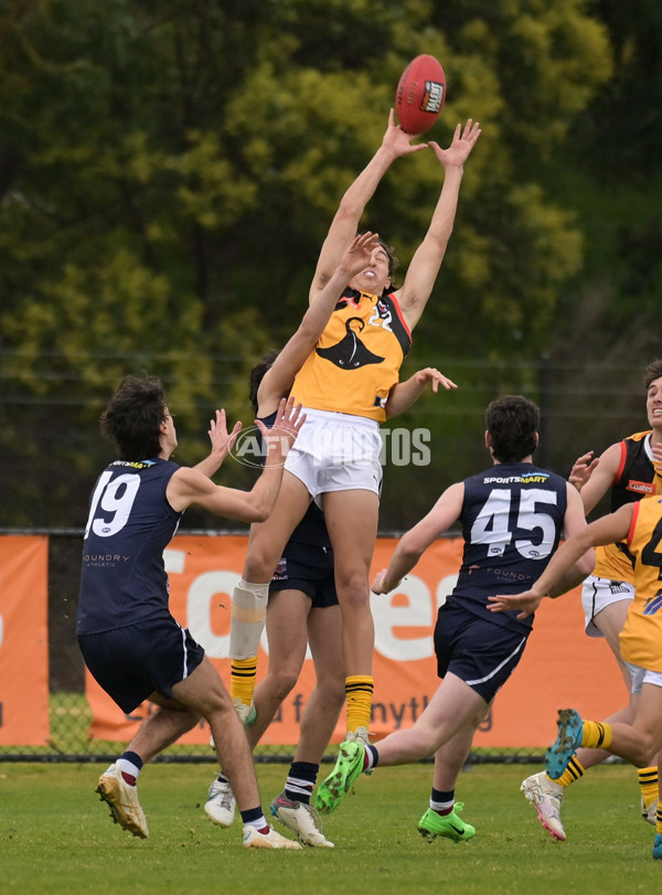 Coates League Boys 2024 - Sandringham v Dandenong - A-51965289