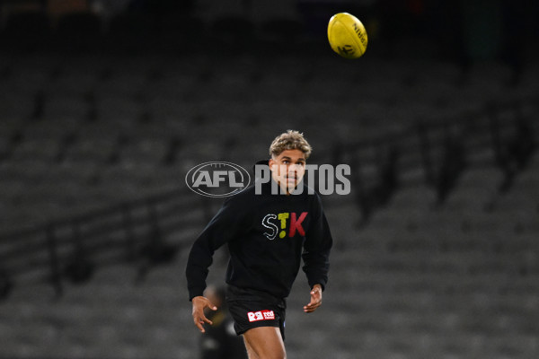 AFL 2024 Round 19 - St Kilda v West Coast - A-51969054