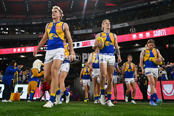 AFL 2024 Round 19 - St Kilda v West Coast - A-51969127