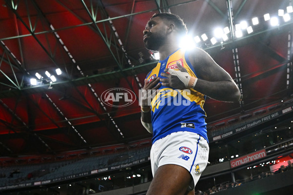 AFL 2024 Round 19 - St Kilda v West Coast - A-51969128