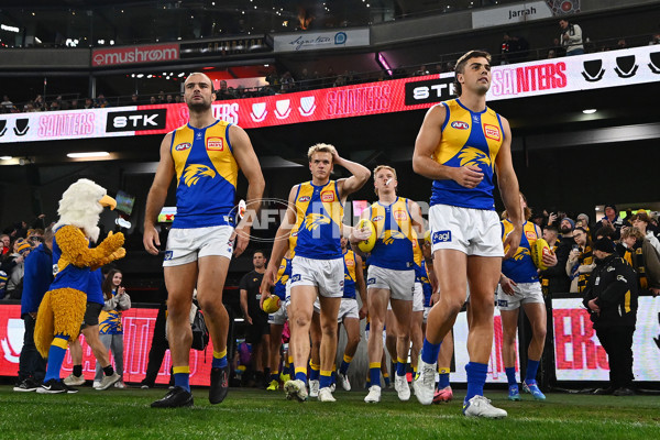 AFL 2024 Round 19 - St Kilda v West Coast - A-51969130
