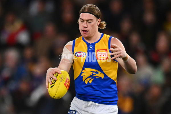 AFL 2024 Round 19 - St Kilda v West Coast - A-51969138