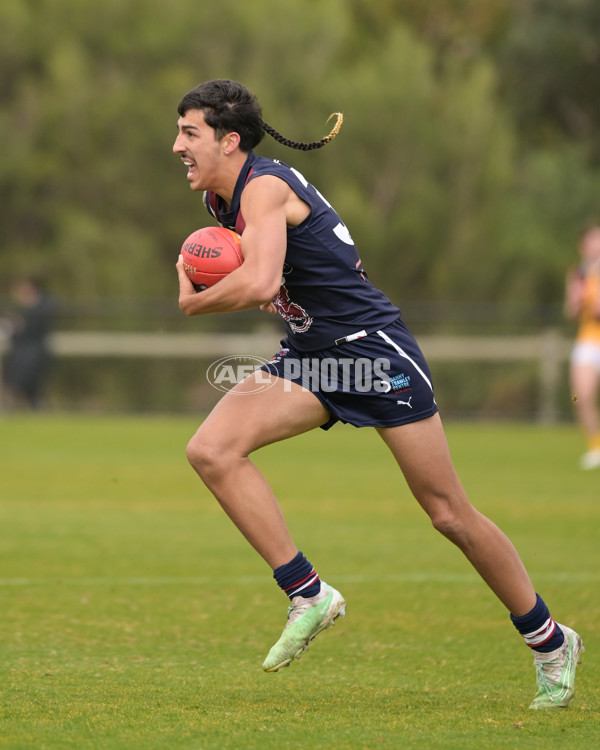 Coates League Boys 2024 - Sandringham v Dandenong - A-51969560