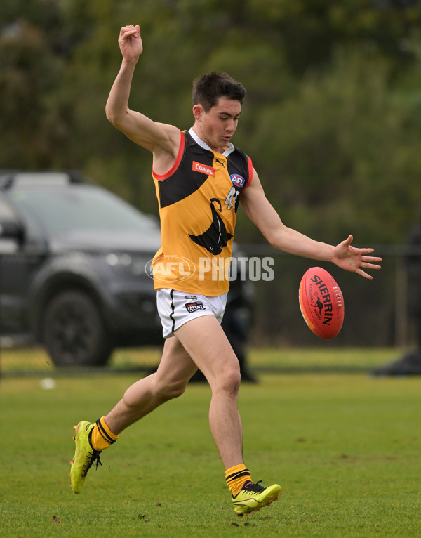 Coates League Boys 2024 - Sandringham v Dandenong - A-51969564