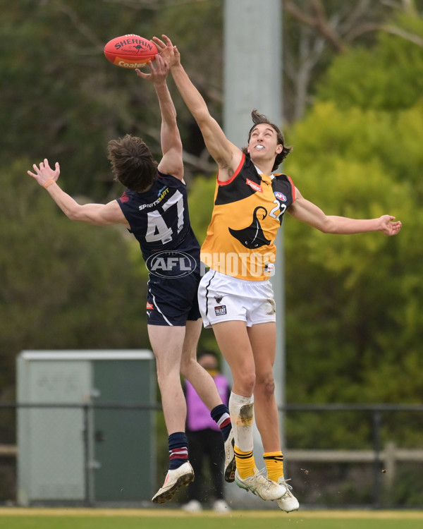 Coates League Boys 2024 - Sandringham v Dandenong - A-51969565