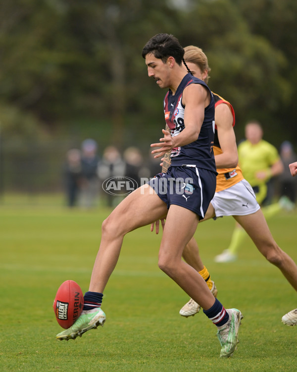 Coates League Boys 2024 - Sandringham v Dandenong - A-51969572