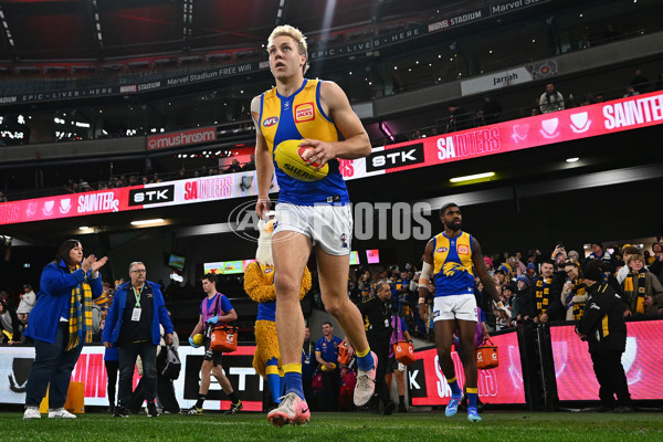 AFL 2024 Round 19 - St Kilda v West Coast - A-51969597