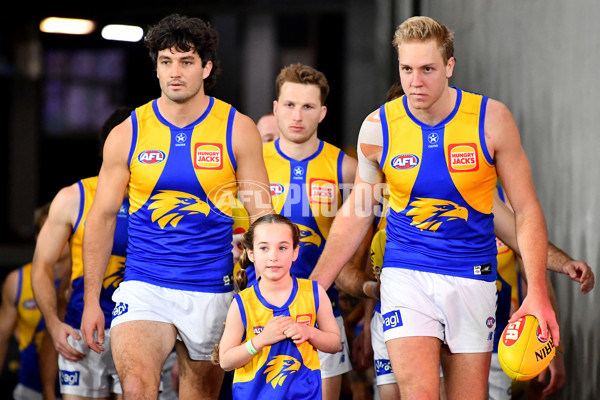 AFL 2024 Round 19 - St Kilda v West Coast - A-51971680