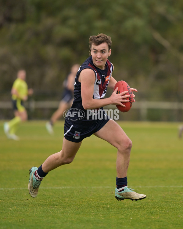 Coates League Boys 2024 - Sandringham v Dandenong - A-51971722