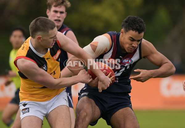 Coates League Boys 2024 - Sandringham v Dandenong - A-51971725